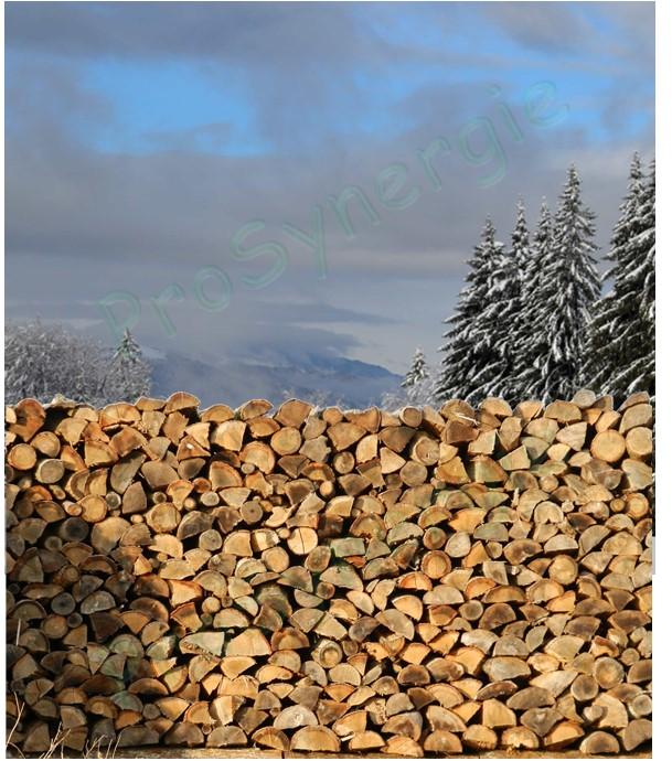 Choisir une chaudière bois-bûche - Critères de choix et éléments de comparaison