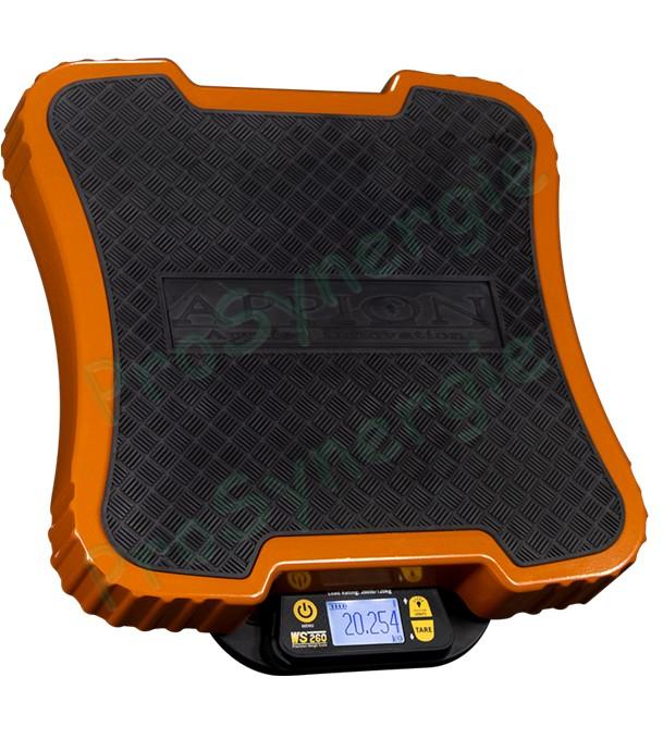 Balance de charge Electronique 120 kg / 5g Bluetooth pour récupération ou charge de gaz Clim